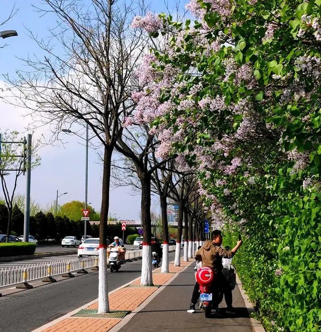 晋中市文旅局推出3条城市骑行路线